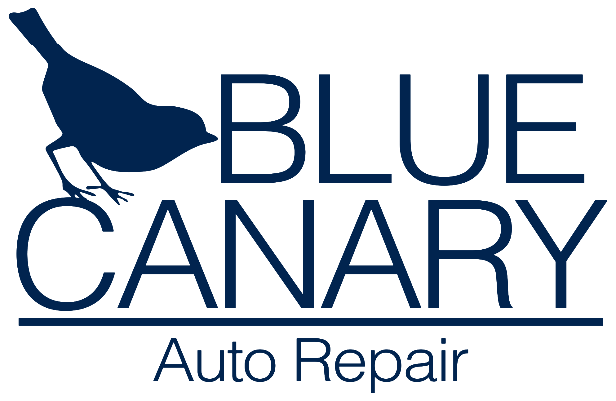 https://biwaterpolo.com/wp-content/uploads/sites/1669/2025/09/Blue-Canary.png